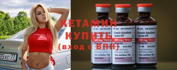 стаф Каменка