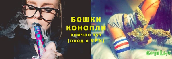 стаф Каменка