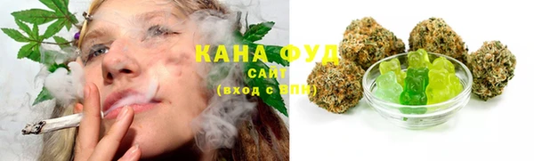 стаф Каменка