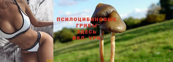 кокаин Каменск-Шахтинский