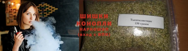 стаф Каменка