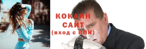 стаф Каменка