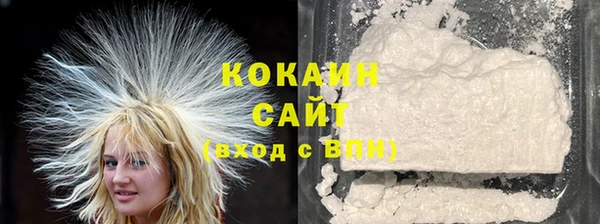 стаф Каменка