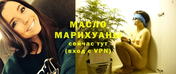 стаф Каменка