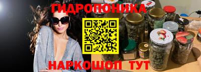 шишки Рыбинск