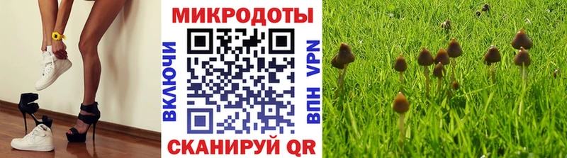 Псилоцибиновые грибы мухоморы Смоленск